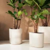Elho bloempot Eden Aquacare wit 40 x 40 x 35 cm