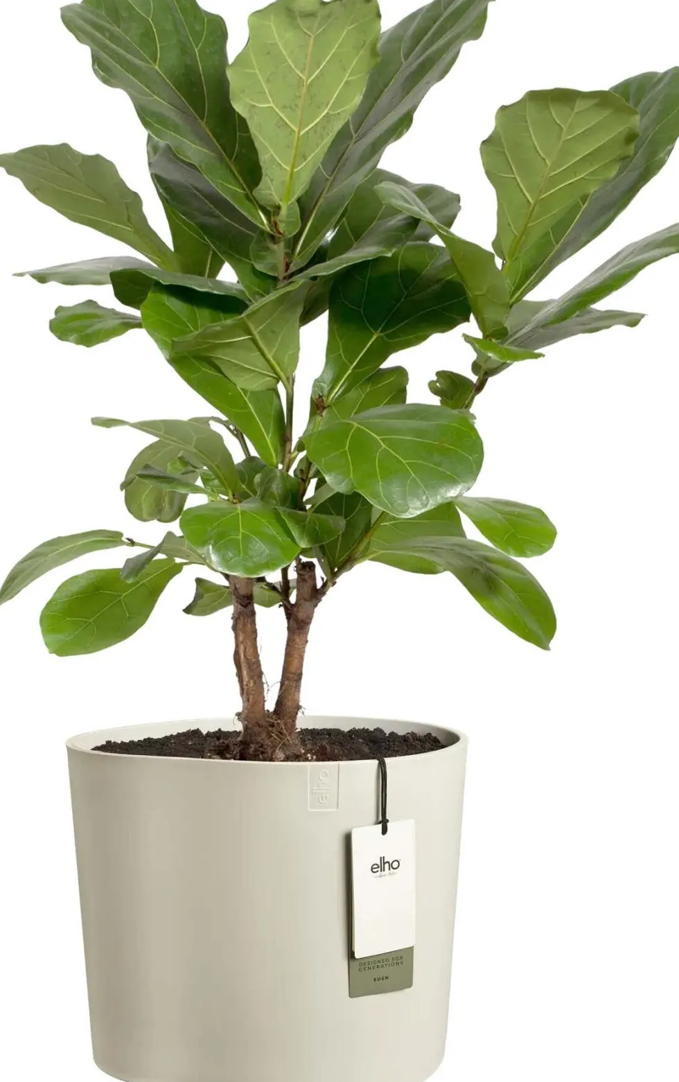 Elho bloempot Eden wit 33 x 35 x 32 cm