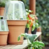 Elho bloempot Green Basics transparant D 17 H 15,8 cm