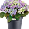 Elho bloempot Green Basics zwart D 77,5 H 60 cm