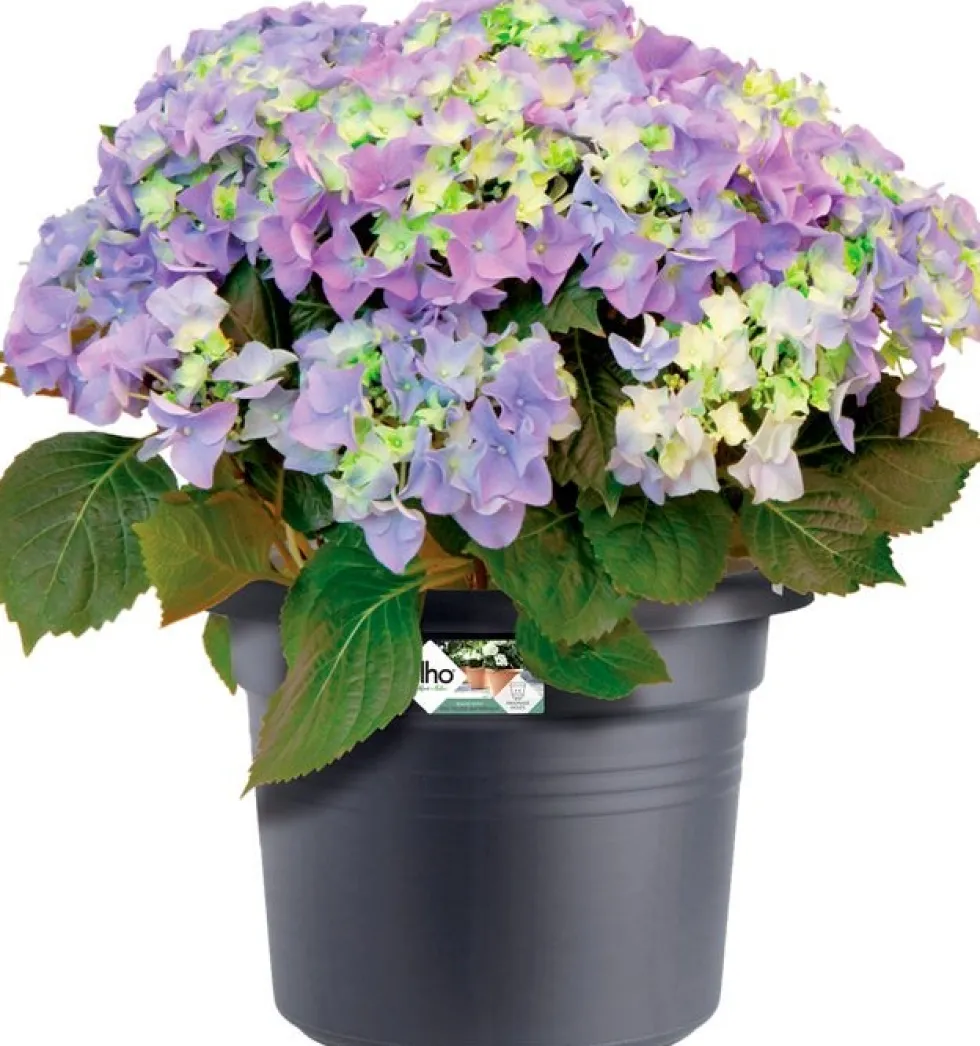 Elho bloempot Green Basics zwart D 54,3 H 41,2 cm