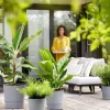 Elho bloempot Greensense Aqua Care grijs D 34,5 H 34,1 cm
