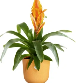 Elho bloempot Jazz geel D 16,5 H 15,3 cm