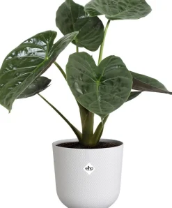 Elho bloempot Jazz wit D 26 H 24,2 cm