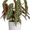 Elho bloempot Jazz wit D 16,5 H 15,3 cm