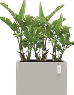 Elho bloempot June Brick beige 30 x 80 x 59 cm