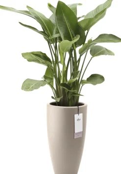 Elho bloempot June Round beige D 39 H 70 cm