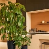 Elho bloempot June Round zwart D 30 H 53 cm