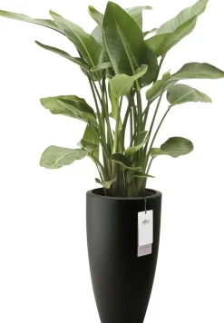 Elho bloempot June Round zwart D 39 H 70 cm