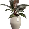 Elho bloempot June Split beige D 46 H 53 cm