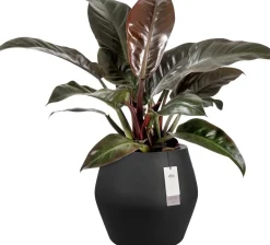 Elho bloempot June Split zwart D 46 H 42 cm