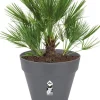 Elho bloempot Loft Urban antraciet D 54 H 58 cm