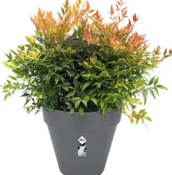 Elho bloempot Loft Urban antraciet D 19,3 H 17,5 cm