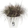 Elho bloempot Loft Urban wit D 69 H 62,5 cm