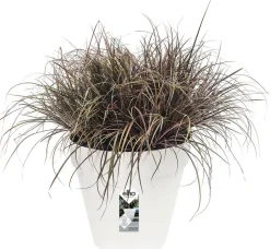 Elho bloempot Loft Urban wit D 24,5 H 22 cm