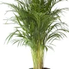 Elho bloempot met waterreservoir Greenville groen D 39 H 36,8 cm