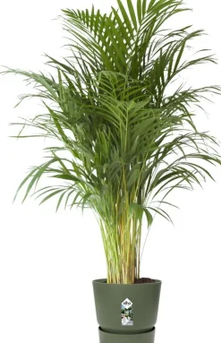 Elho bloempot met waterreservoir Greenville groen D 39 H 36,8 cm