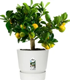 Elho bloempot met waterreservoir Greenville wit D 47 H 44 cm