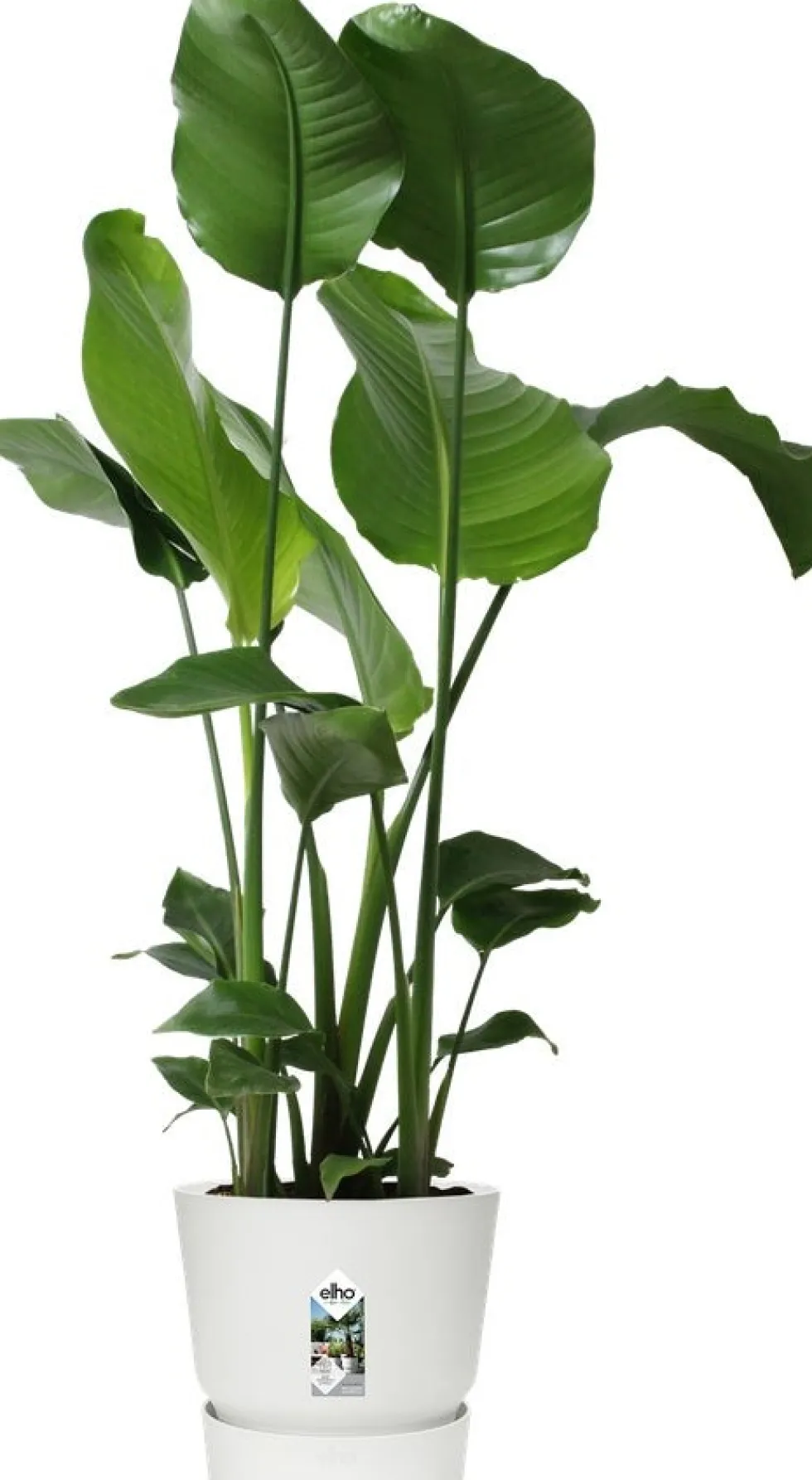 Elho bloempot met waterreservoir Greenville wit D 29,5 H 27,8 cm