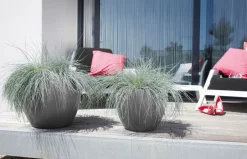 Elho bloempot Pure antraciet D 49 H 37 cm