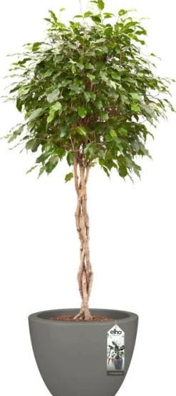 Elho bloempot Pure antraciet D 49 H 37 cm