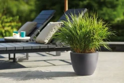 Elho bloempot Pure antraciet D 39 H 30,5 cm