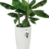 Elho bloempot Pure wit D 34,5 H 61,5 cm