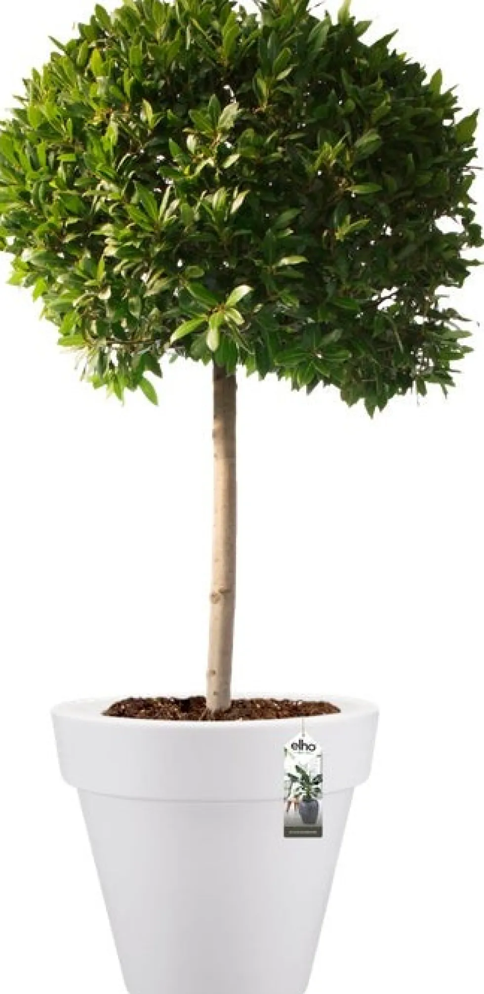 Elho bloempot Pure wit D 39 H 35,7 cm