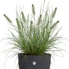 Elho bloempot Sereh antraciet D 25 H 21 cm