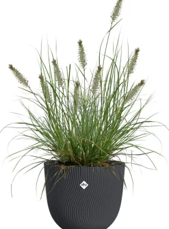 Elho bloempot Sereh antraciet D 25 H 21 cm