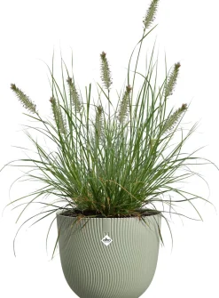 Elho bloempot Sereh groen D 25 H 21 cm