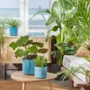 Elho bloempot The Ocean Collection blauw D 22 H 20,4 cm