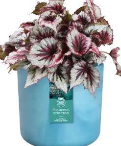 Elho bloempot The Ocean Collection blauw D 13,8 H 12,5 cm