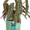 Elho bloempot The Ocean Collection groen D 18,3 H 16,7 cm
