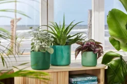 Elho bloempot The Ocean Collection groen D 18,3 H 16,7 cm