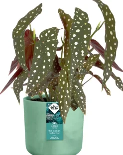 Elho bloempot The Ocean Collection groen D 13,8 H 12,5 cm