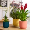 Elho bloempot Vibes blauw D 7 H 6,5 cm