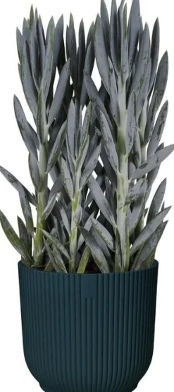 Elho bloempot Vibes blauw D 16,1 H 14,8 cm