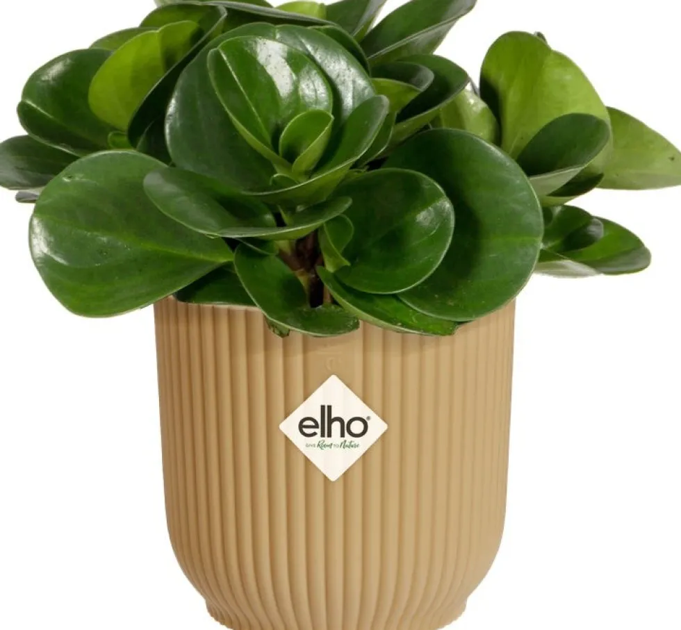 Elho bloempot Vibes geel D 9,3 H 8,8 cm