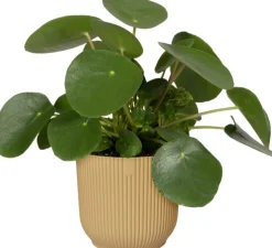 Elho bloempot Vibes geel D 18,3 H 16,8 cm
