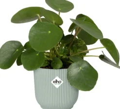 Elho bloempot Vibes groen D 16,1 H 14,8 cm