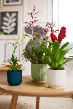 Elho bloempot Vibes groen D 16,1 H 14,8 cm