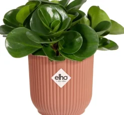 Elho bloempot Vibes roze D 9,3 H 8,8 cm