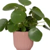Elho bloempot Vibes roze D 18,3 H 16,8 cm
