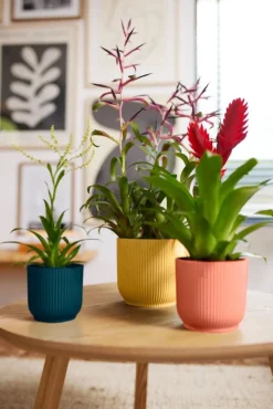 Elho bloempot Vibes roze D 16,1 H 14,8 cm
