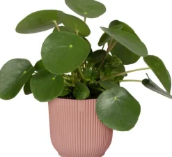 Elho bloempot Vibes roze D 25 H 23 cm