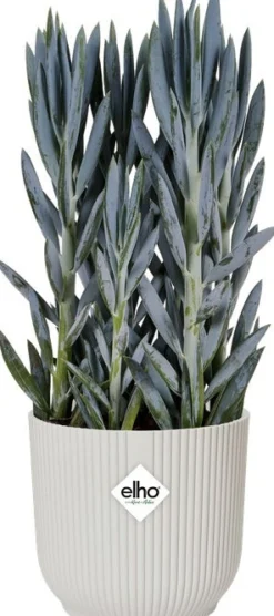 Elho bloempot Vibes wit D 16,1 H 14,8 cm