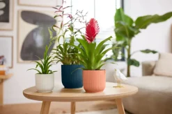 Elho bloempot Vibes wit D 14,1 H 12,9 cm