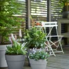 Elho bloempot Vibia Campana grijs D 34,5 H 29,7 cm