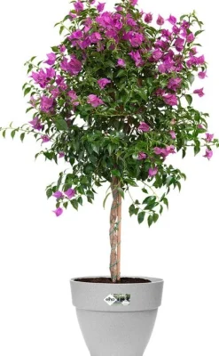 Elho bloempot Vibia Campana grijs D 34,5 H 29,7 cm